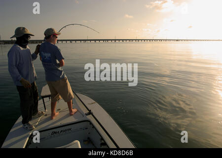 A fisherman lands a tarpon caught while fly fishing the Florida Keys near Key West Stock Photo