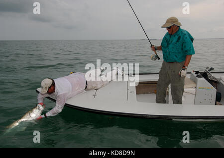 A fisherman lands a tarpon caught while fly fishing the Florida Keys near Key West Stock Photo