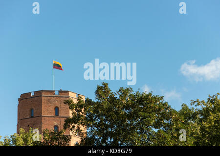 Gediminas Castle Tower Vilnius Lithuania Stock Photo