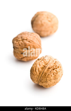 Tasty dried walnuts isolated on white background. Stock Photo