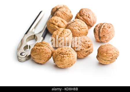 Tasty dried walnuts and nutcracker isolated on white background. Stock Photo