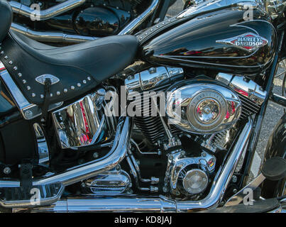 Harley Davidson Softail - Black