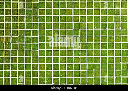 Background from lime green mosaic tiles Stock Photo