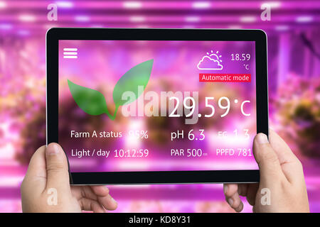 Smart agriculture futuristic indoor farming and Photoperiodism concept. Hand using tablet to monitoring artificial LED panel light source used in an e Stock Photo