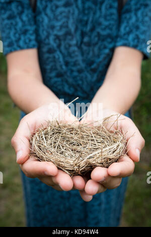 Unrecognisable female in a blue dress holding an empty bird's nest in her hands. Stock Photo