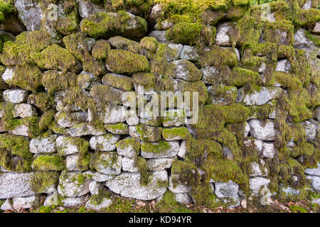 SAINT GOUSSAUD, PUY DE JOUER, FRANCE - JUNE 24, 2017: An archaeological site of an old gallo-roman city wall in the middle of the forest. Stock Photo