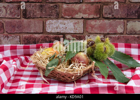 Apples and chestnuts in a wicker basket on a red and white tablecloth Stock Photo