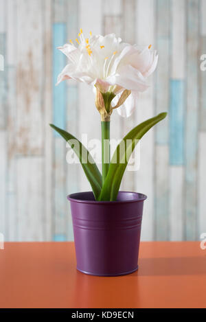 flowers in small pots on a table. Artificial flower Stock Photo