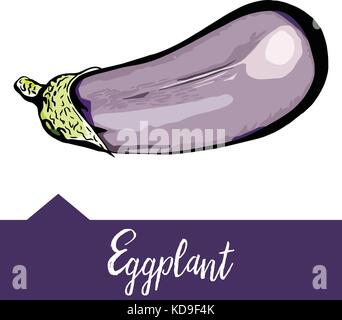 Vector illustration of eggplant depicted in hand drawn graphics  Stock Vector