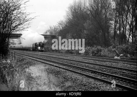 60163 'TORNADO' (on its first public train in B.R. blue) heads a 'CATHEDRALS EXPRESS' at Bishton. Stock Photo