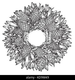line art pine cones. Ink graphic twig of conifers evergreen tree. Hand ...