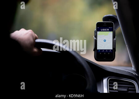 A caucasian man whose face is obscured drives an Uber taxi, and has the company logo on his smartphone which is fixed to the windscreen. Stock Photo