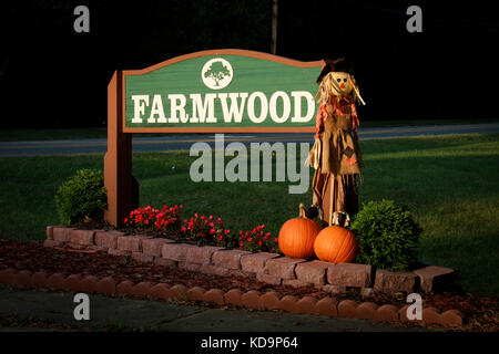 Halloween Decorations at Farmwood Neighborhood Stock Photo