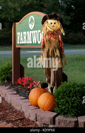 Halloween Decorations at Farmwood Neighborhood Stock Photo