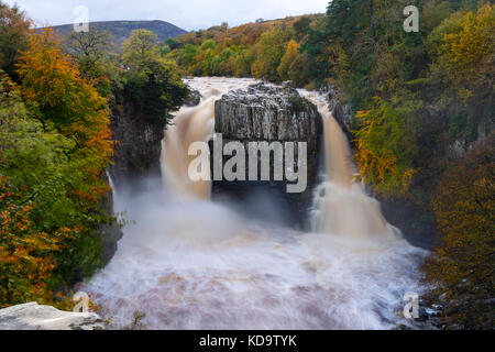 High Force, Upper Teesdale, County Durham, UK.  Wednesday 11th October 2017.  UK Weather.  After a day of heavy rain in Cumbria and the North Pennines, High Force on the River Tees looked spectacular as floodwater poured over the normally dry right hand fall.   Credit: David Forster/Alamy Live News Stock Photo