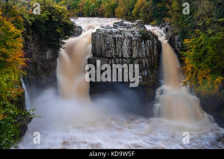 High Force, Upper Teesdale, County Durham, UK.  Wednesday 11th October 2017.  UK Weather.  After a day of heavy rain in Cumbria and the North Pennines, High Force on the River Tees looked spectacular as floodwater poured over the normally dry right hand fall.   Credit: David Forster/Alamy Live News Stock Photo