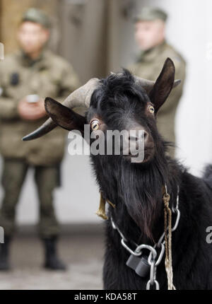 Kiev, Ukraine. 12th Oct, 2017. National Guard servicemen stand near a goat tethered by the Ukrainian far-right National Corpus Ukrainian party outside the Czech Embassy during a protest in Kiev, Ukraine, on 12 October 2017.President Milos Zeman who spoke in Strasbourg, France on October 10, repeated his stance against the European Union sanctions against Russia over the Ukraine crisis. Credit: ZUMA Press, Inc./Alamy Live News Stock Photo