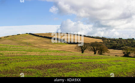 Typical undulating hills and dales of County down in northern Ireland near to Kircubbin on the Ards Peninsula. Stock Photo