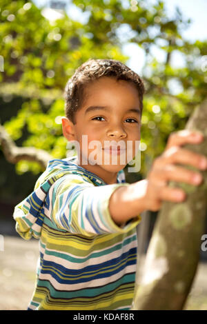 Little boy playing in a tree. Stock Photo