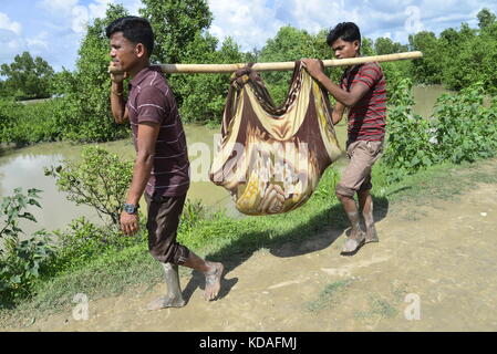 Hundreds of Rohingya people crossing Bangladesh's border as they flee from Buchidong at Myanmar after crossing the Nuf River in Taknuf, Bangladesh. Stock Photo