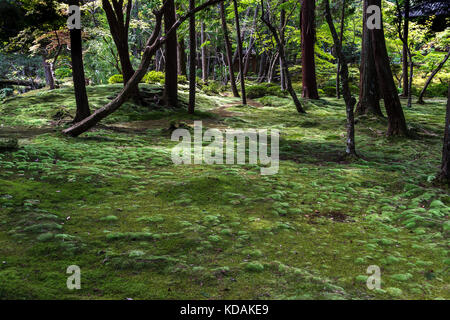 Saiho-ji, or Koka-dera,also known as the Moss Temple, is one of the most scenic gardens in the Arashyama district of Kyoto, Japan Stock Photo