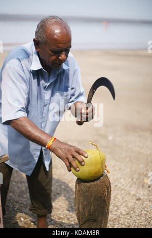JAMPORE BEACH, DAMAN, INDIA - OCTOBER 9, 2017: A portrait of a old Hard working man cutting and selling coconuts to tourists Stock Photo