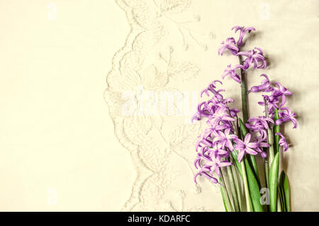 Small bouquet of lilac hyacinths on lace background Stock Photo