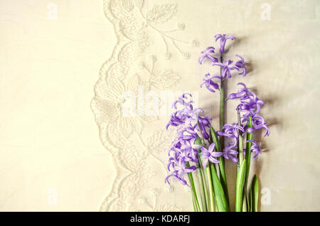 Small bouquet of  purple hyacinths on lace background Stock Photo