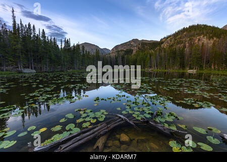 Nymph Lake, Rocky Mountain National Park, Colorado, United States Stock Photo