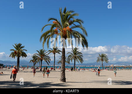 Baleares, Mallorca, s' Arenal, Playa de Palma Stock Photo