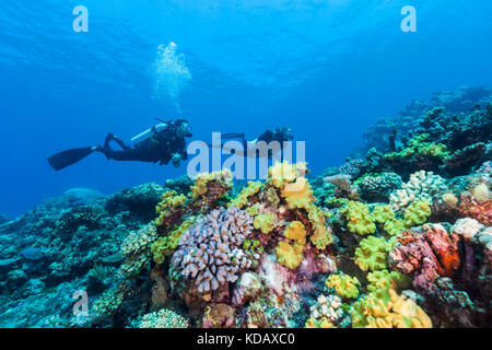 Divers exploring the coral formations of St Crispin Reef, Great Barrier Reef Marine Park, Port Douglas, Queensland, Australia Stock Photo