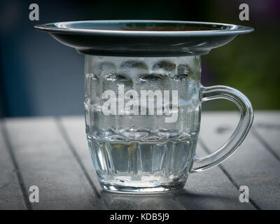 Empty beer glass with a plate on top standing on a table Stock Photo