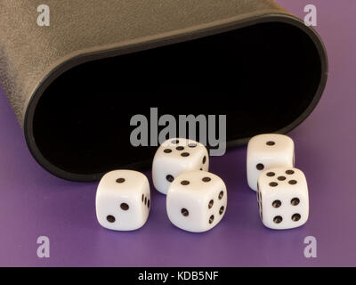 Closeup of five white dices and a cup lying on a table Stock Photo
