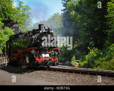 Train with a steam engine going through a forest on a sunny day Stock Photo