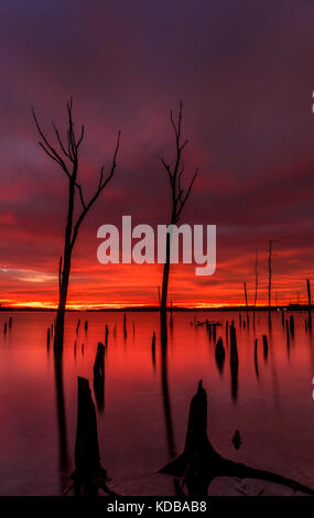 Amazing dramatic sunrise over Manasquan Reservoir in October Stock Photo