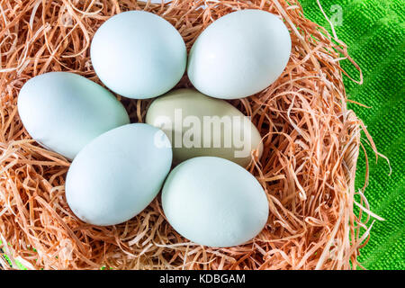 Blue eggs in a straw nest Stock Photo