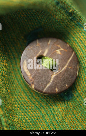 Close-up of button on green cotton fabric Stock Photo