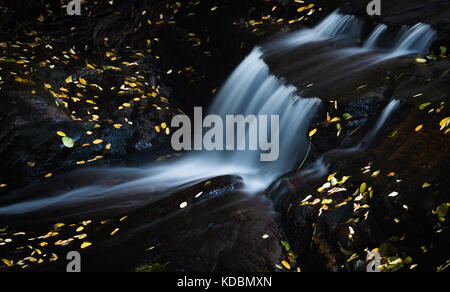 Small waterfall surrounded by golden leaves in autumn Stock Photo