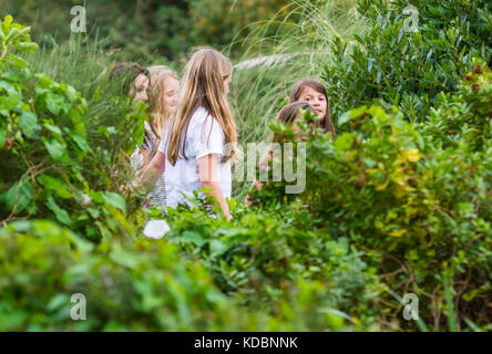 Group of young girls walking together in a park in the UK. Stock Photo