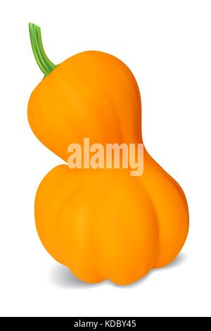 Realistic vector pumpkin isolated on white background Stock Vector