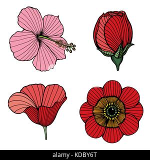 Set of Flowers. Vector color illustration. Isolated on white hand drawn image Stock Vector