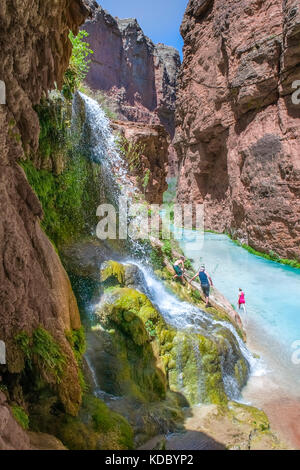 Waterfall near the Havasu Falls Trail in the Havaspai Indian Reservation. Located within the Grand Canyon. Stock Photo