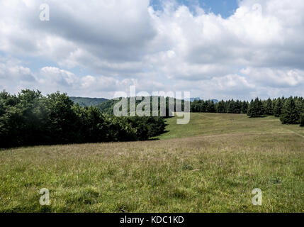mountain meadow with trees around and hills on the background near Jankova hill in Mala Fatra mountains in Slovakia