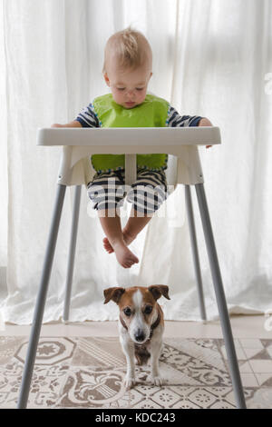 Cute boy and dog under high chair on a white background Stock Photo