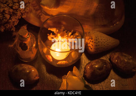 Candle Tea Light - Shells and beautiful light with flowers and coral taken in Vietnam at a wedding on the beach. Stock Photo