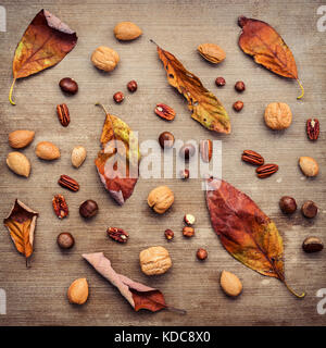 Different kinds of nuts walnuts kernels ,hazelnuts, almond kernels and pecan with dried orange leaves set up on rustic wooden background. Stock Photo