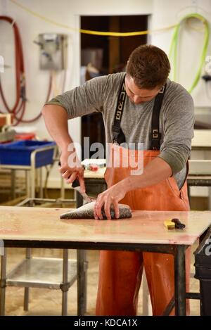 Hard working fisherman gutting and filleting fresh fish at Baileys Harbor Fishing Co. in the Door County community of Baileys Harbor, Wisconsin, USA Stock Photo