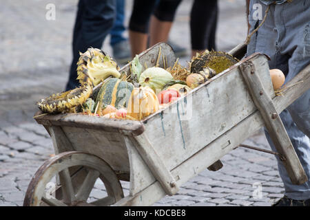 Asti, Italy - September 10, 2017: farmer carrying colorful pumpkins on an old wheelbarrow Stock Photo