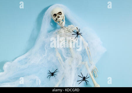 Plastic toy skeleton captured by a spider web on a vibrant pop blue background. Minimal color still life photography Stock Photo