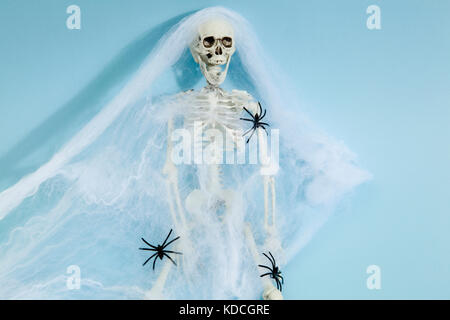 Plastic toy skeleton captured by a spider web on a vibrant pop blue background. Minimal color still life photography Stock Photo